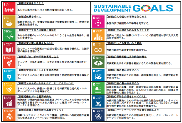 持続可能な開発目標（SDGs）の詳細